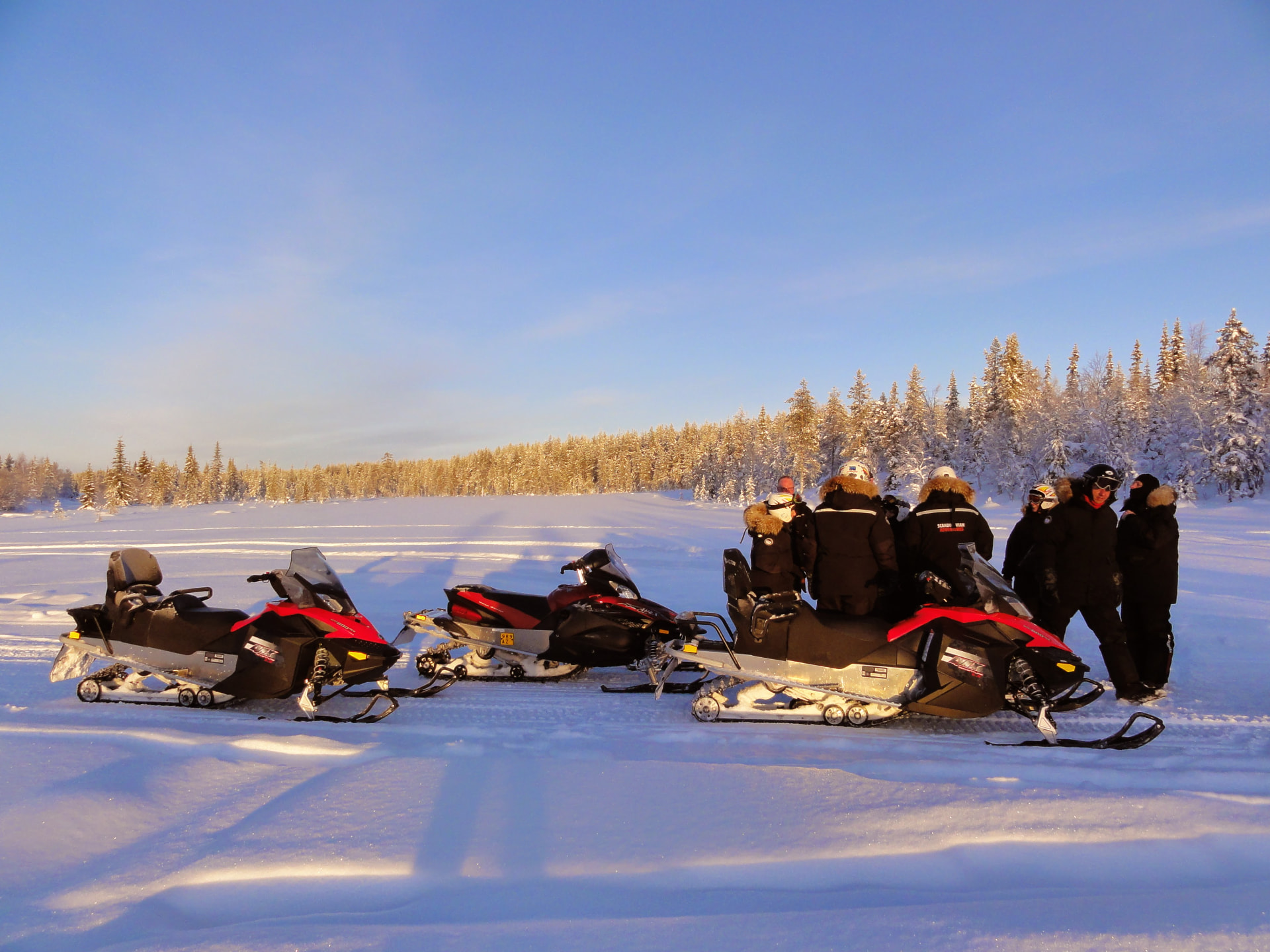 Gruppe mit Motorschlitten auf einer weiten Schneefläche vor verschneitem Wald