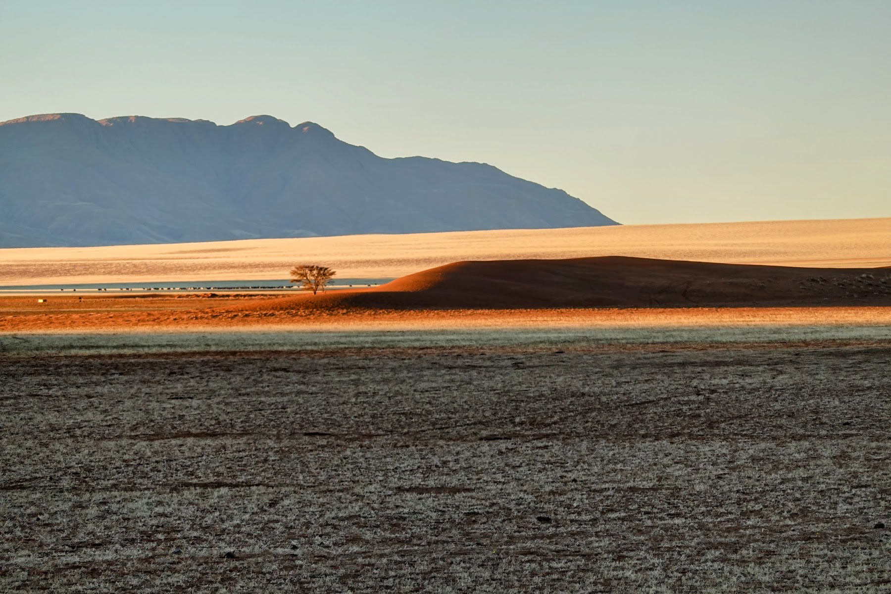 Vlei mit grüner Halbinsel vor roter Düne und Bergmassiv in der Namib