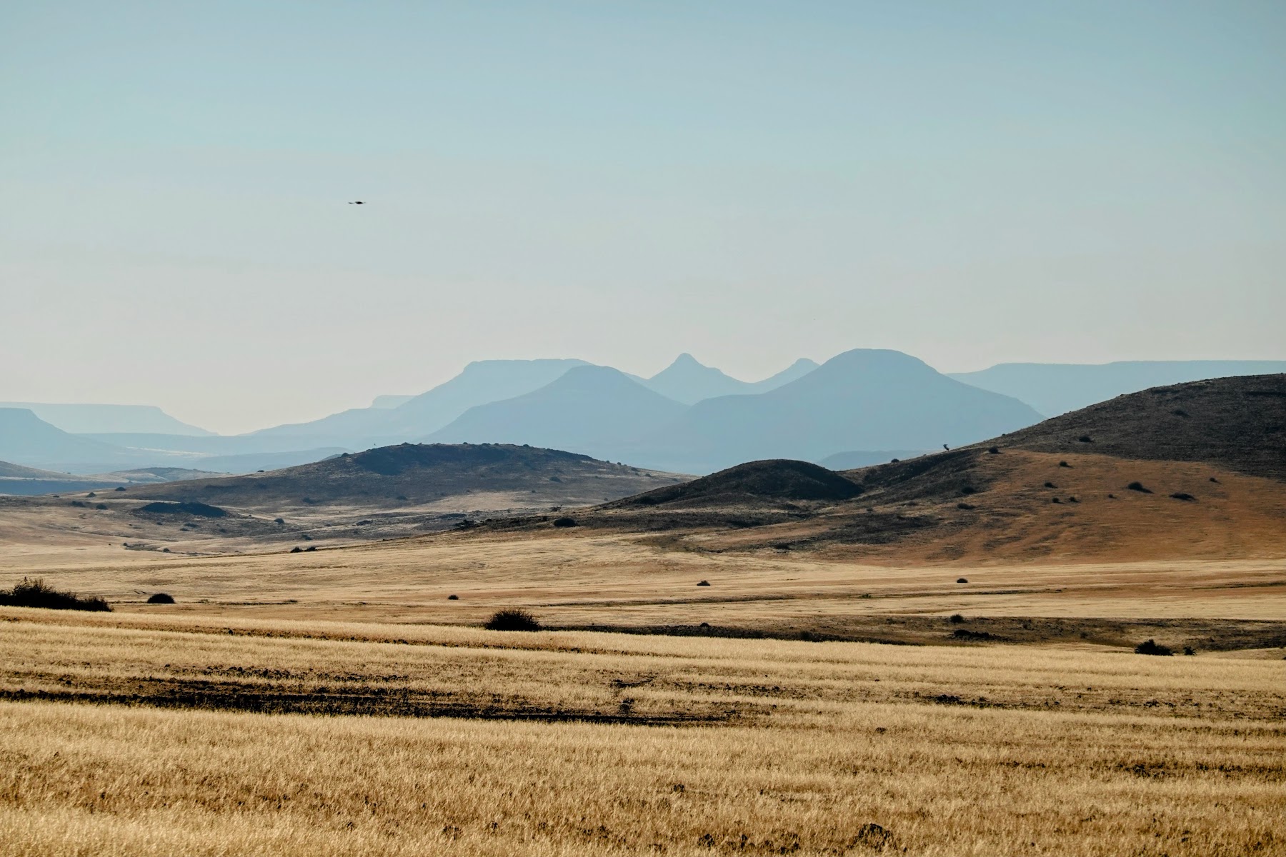 Karge, steinige Graslandschaft mit Bergkette im Damaraland