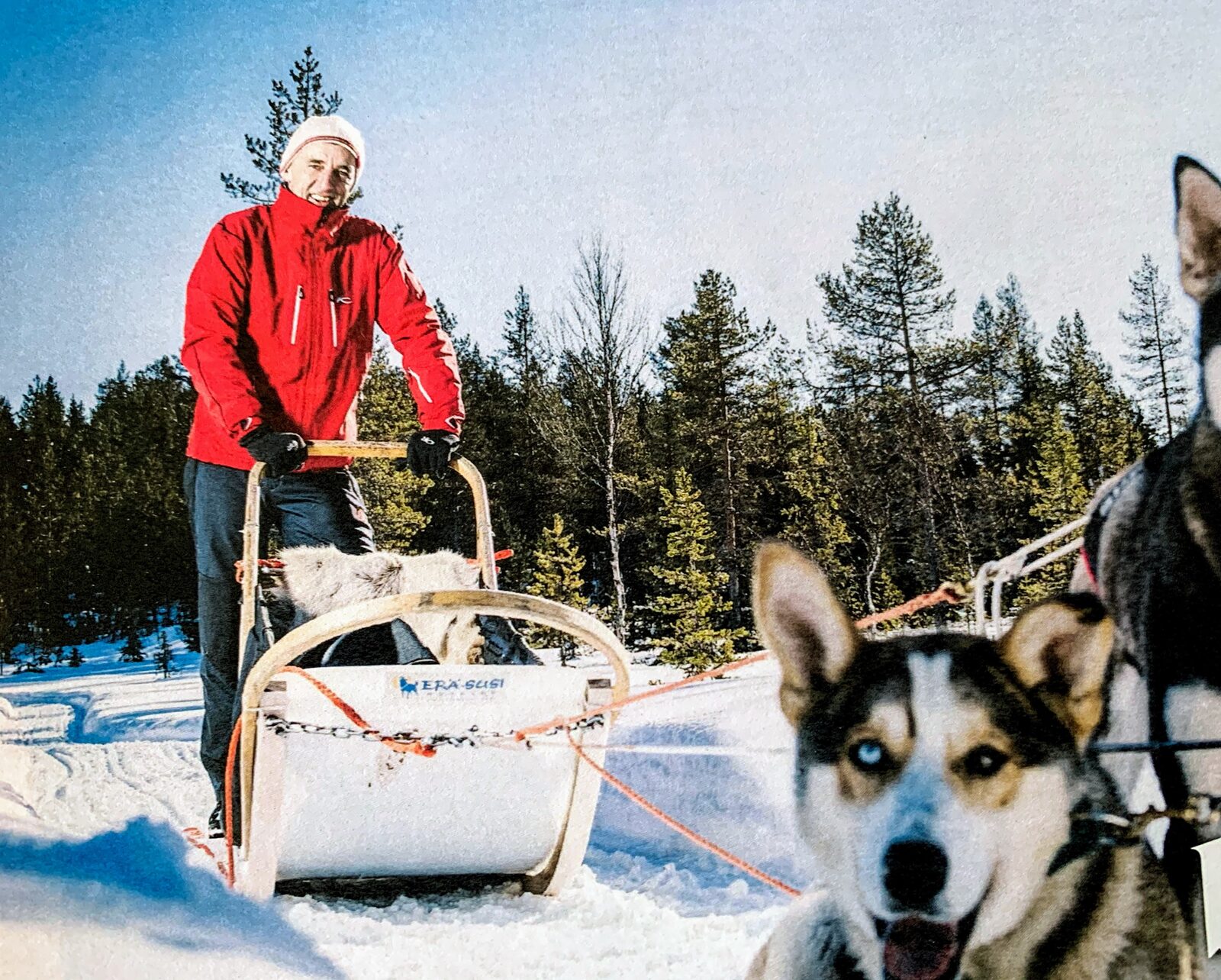 Musher mit Huskyschlitten im verschneiten Wald