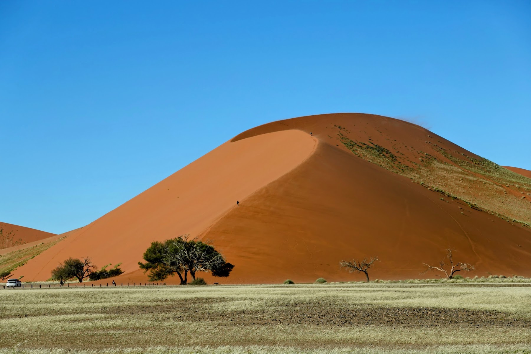 Riesige rot leuchtende Düne bei Sossusvlei