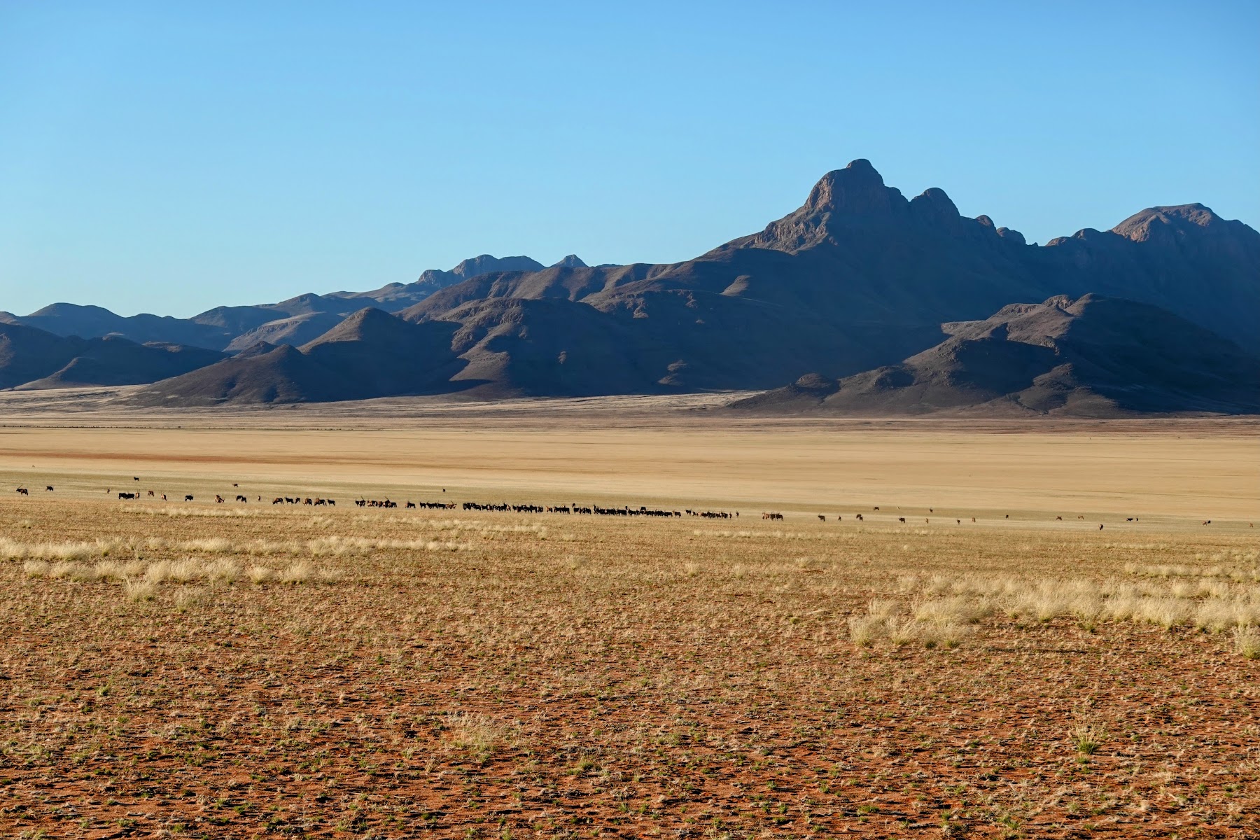 Weite Grasebene vor einem schroffen Bergmassiv in Namibia