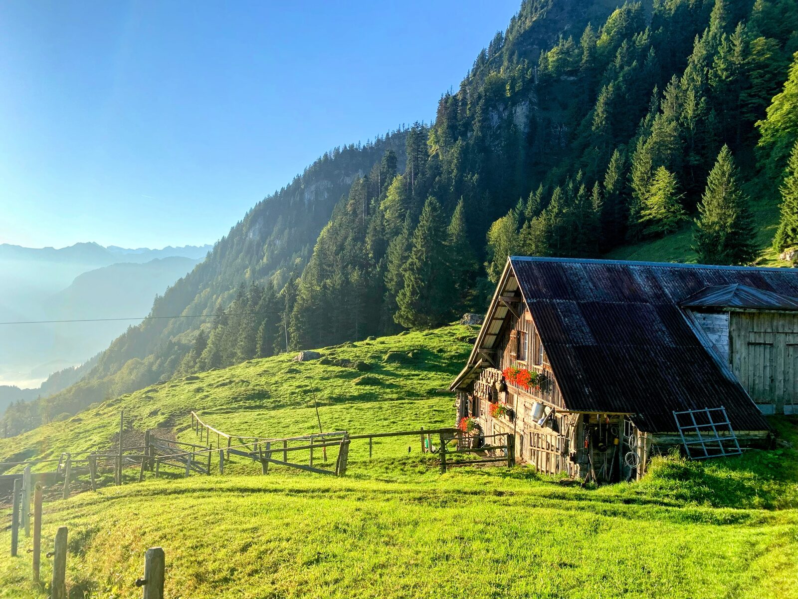 Alphütte auf einer sonnigen Bergwiese über dem Nebelmeer
