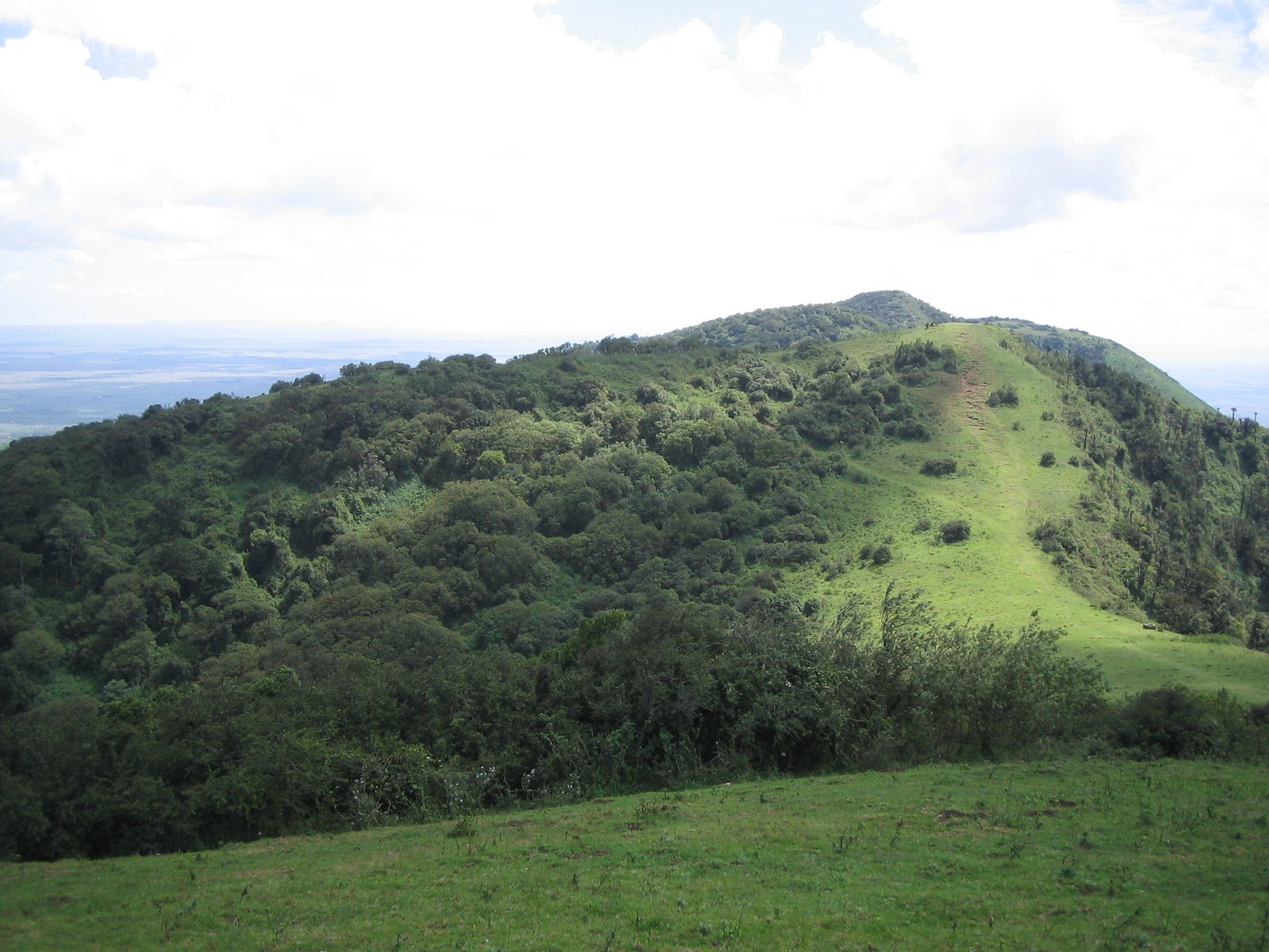 Blick auf die grünen Ngong Hills in der Nähe von Nairobi
