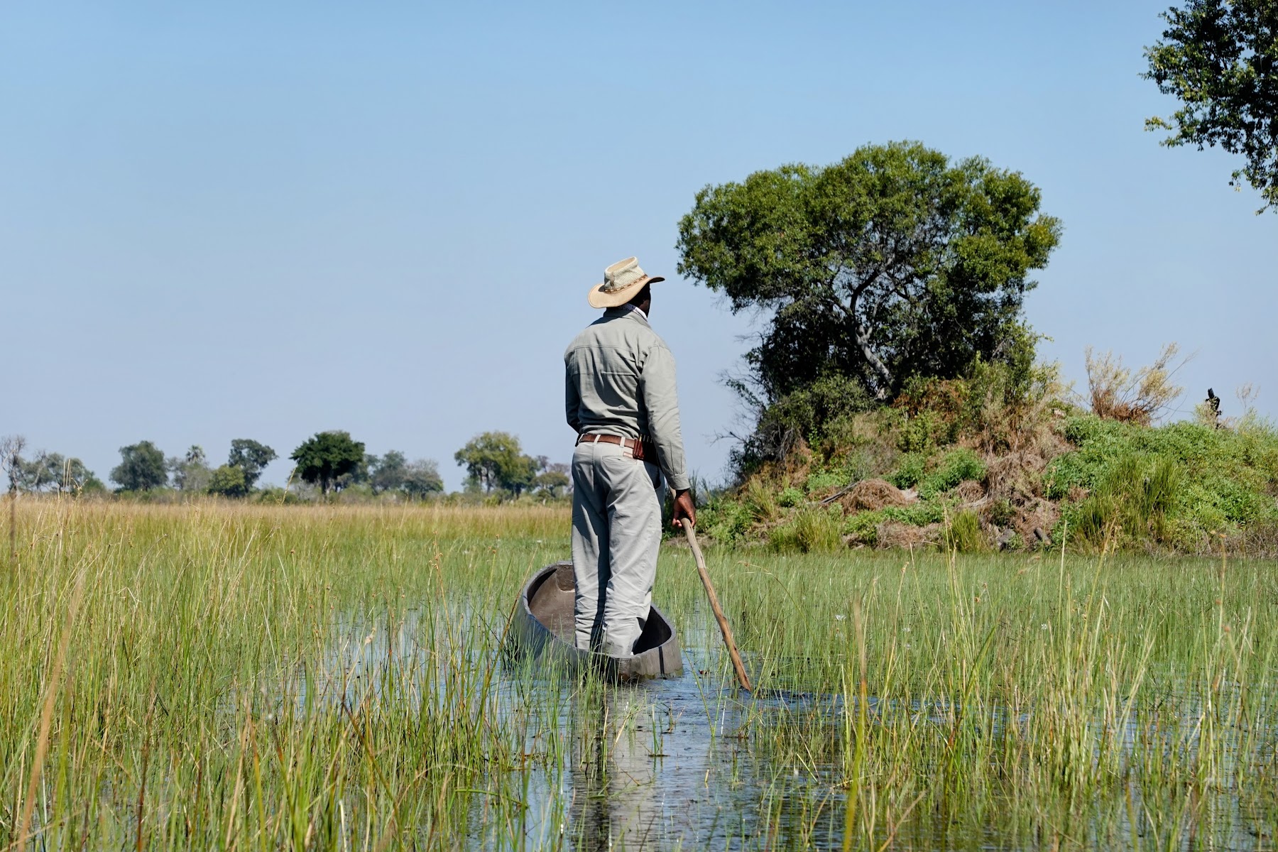 Mokoro-Fahrt durch das Schilf des Okavango Deltas