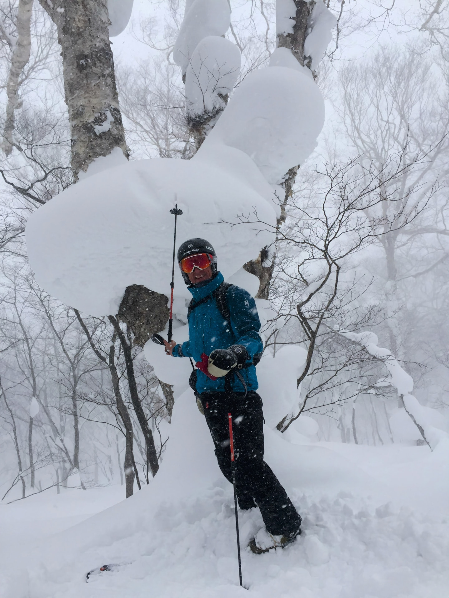 Skifahrer vor bizarren Schneeformationen an Bäumen
